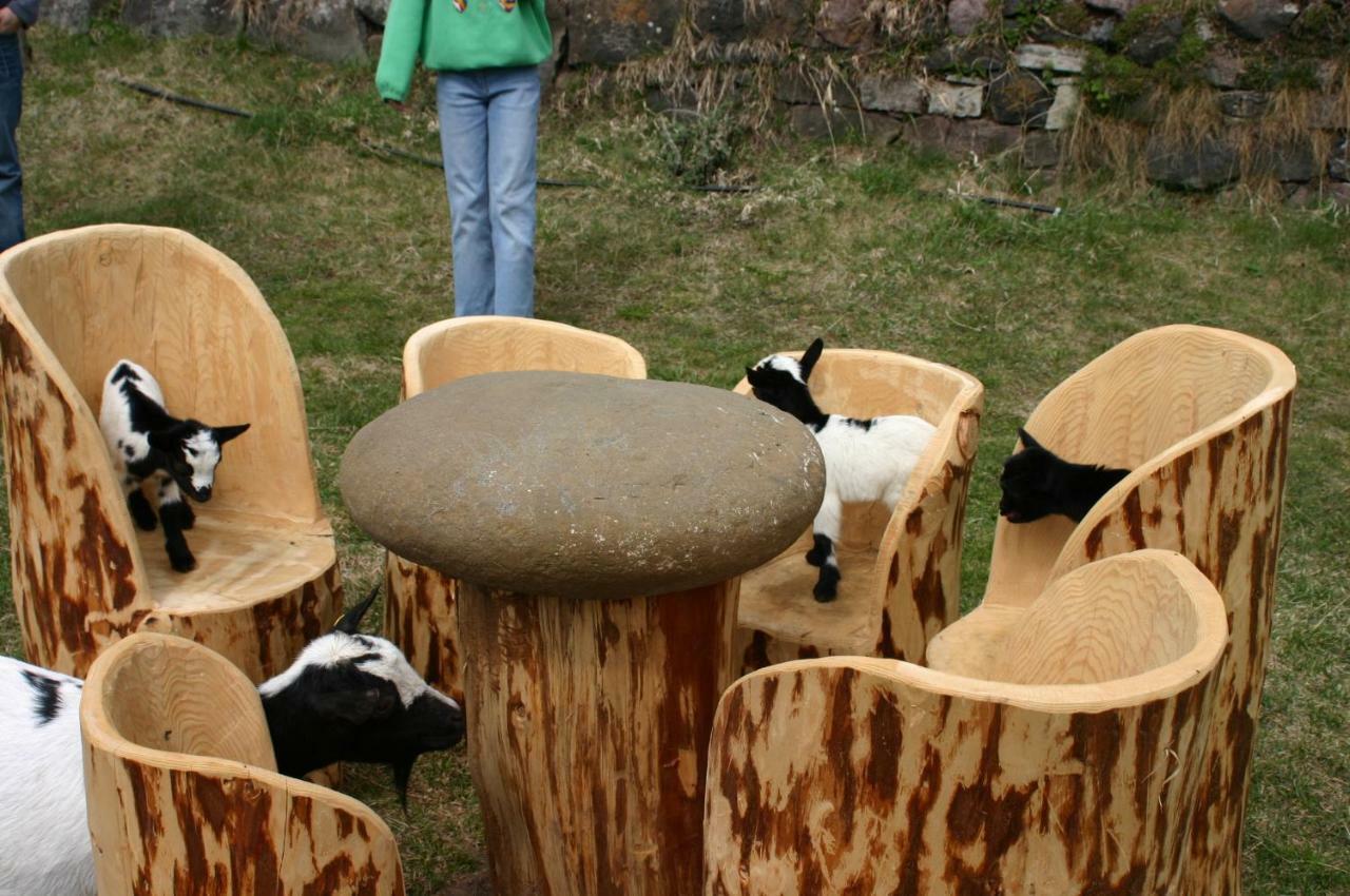 Farm stay Tomasoethof